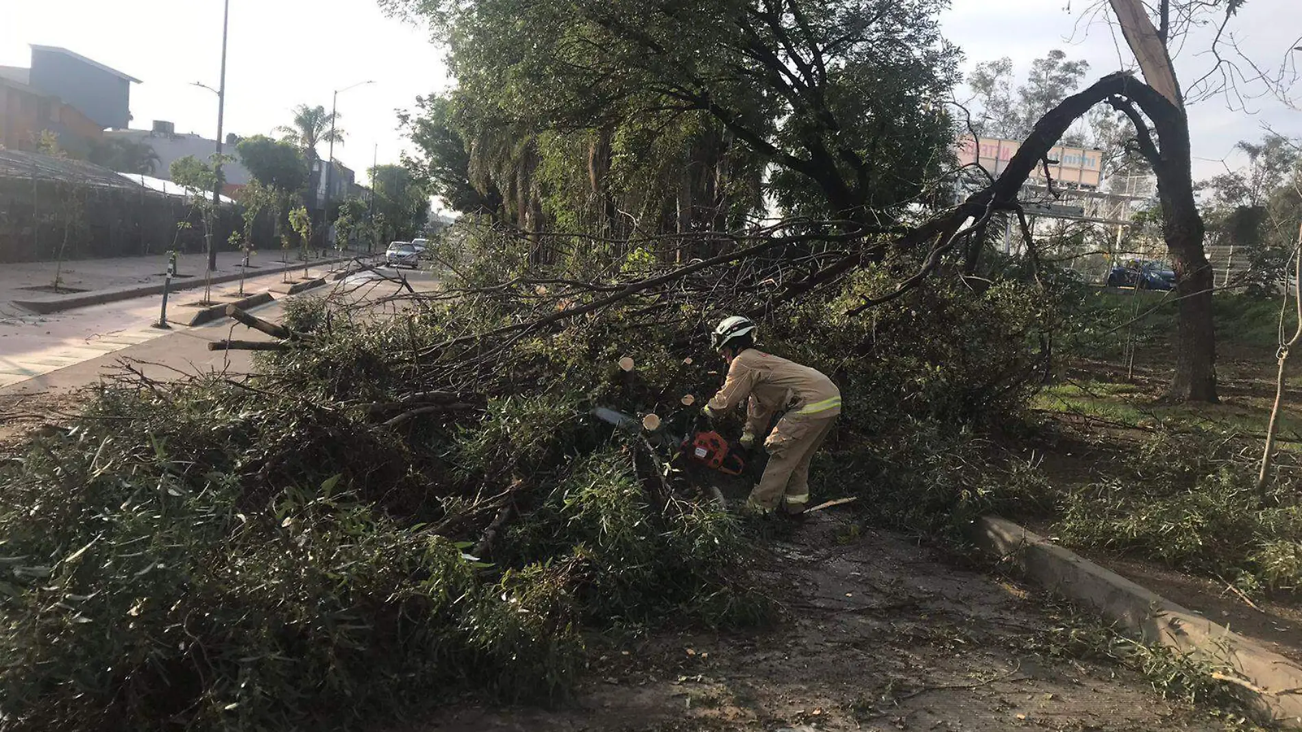 Tormenta en la ZMG